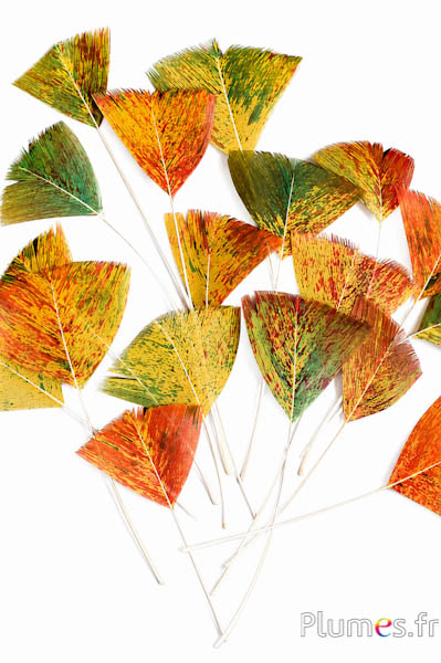 Blütenblätter aus Federn - 6-8 cm x 3-4 cm - Herbst